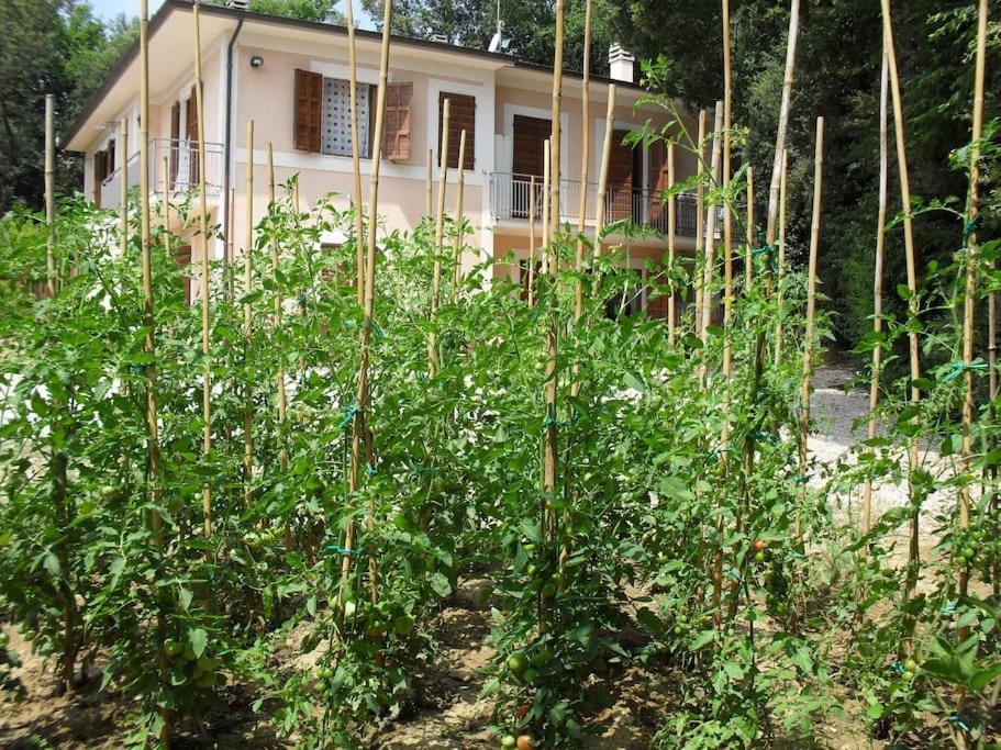 Apartment In Nature,10Min From City Perugia Exterior foto