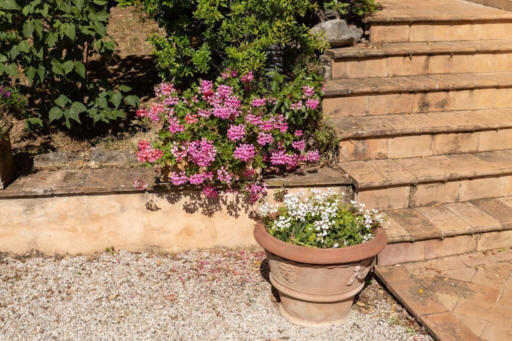 Apartment In Nature,10Min From City Perugia Exterior foto